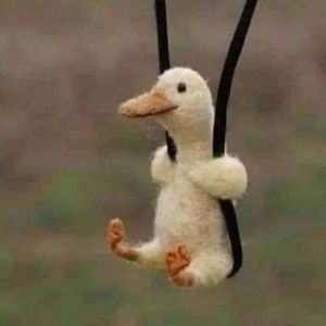 Meet your Posher, Miranda